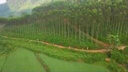 GIẢI CHẠY BÁN MARATHON XÃ VẠN LINH MỞ RỘNG 2025