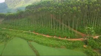 GIẢI CHẠY BÁN MARATHON XÃ VẠN LINH MỞ RỘNG 2025